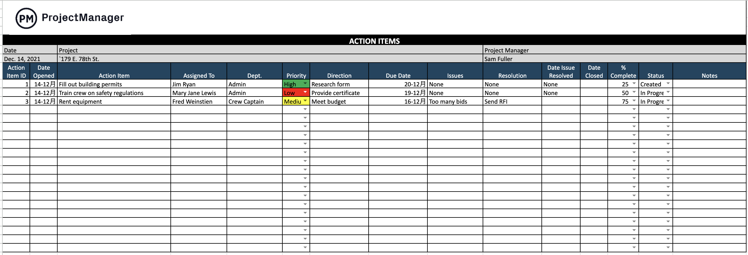 Image of action plan template by Projectmanager
