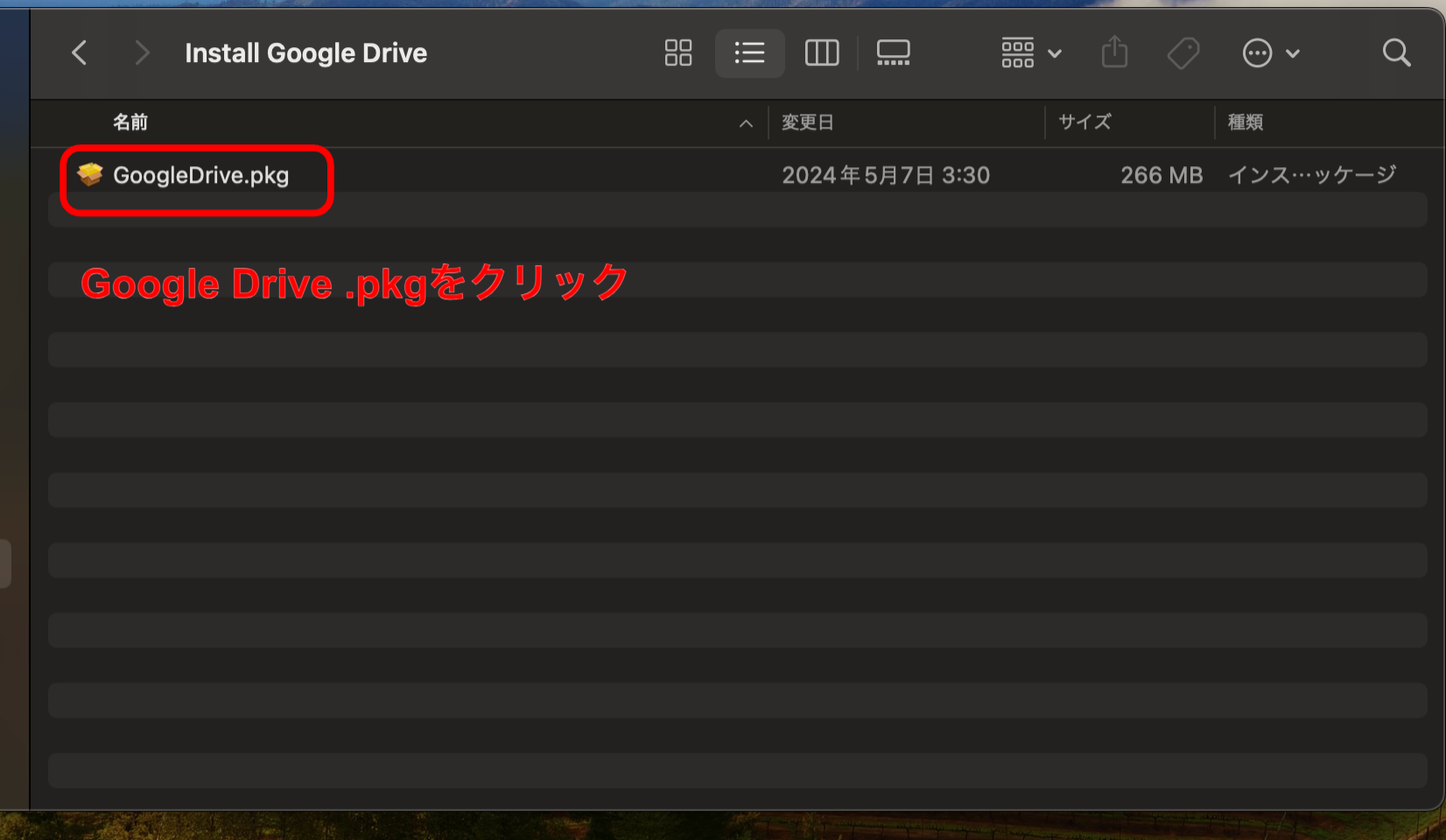 Google Drive．pkgを開く画像